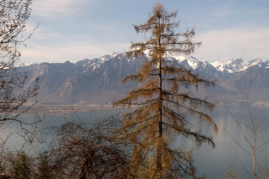 Aussicht vom Zug