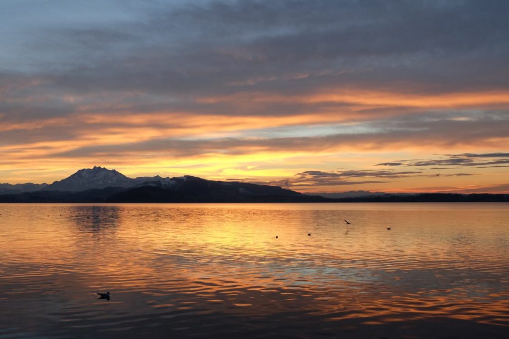 Zugersee Sonnenuntergang