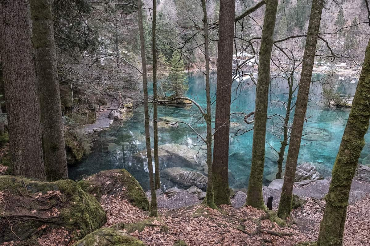 Blausee magische Farben