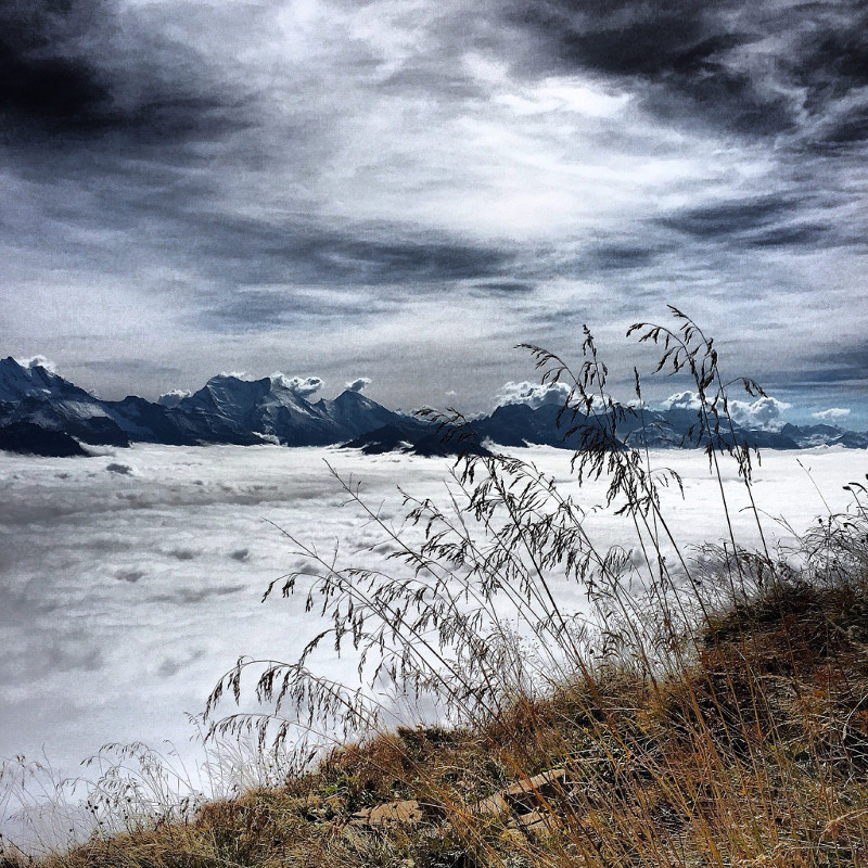 Wandern Niesen