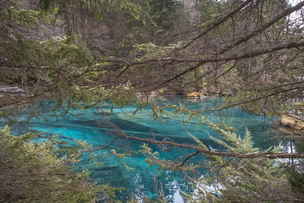 Fruehling am Blausee