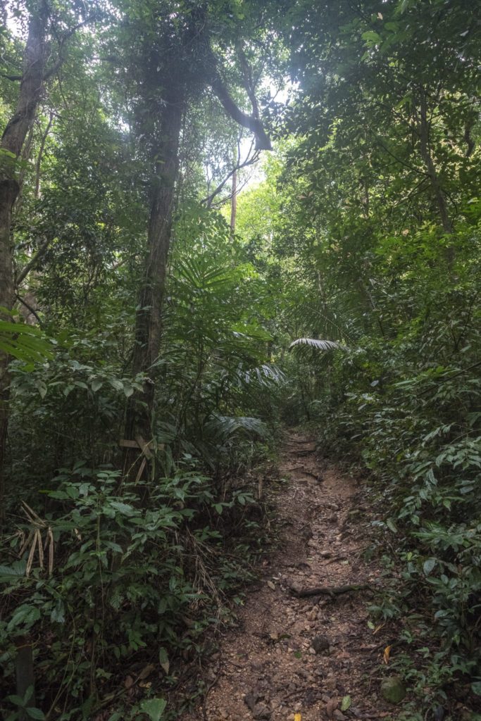 Dschungel Weg Railay Beach