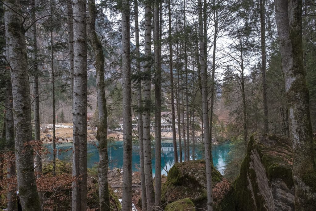 Wald Blausee