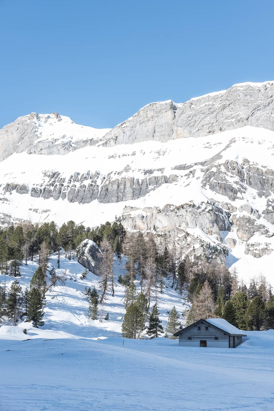 Alphaus auf Spittelmatte in Sunnbüel Kandersteg