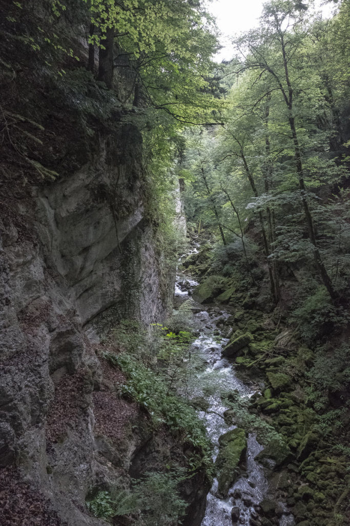 Schlucht Areuse