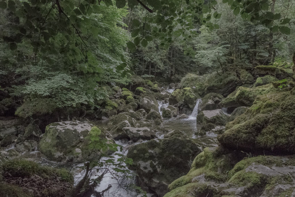 Schlucht der Areuse