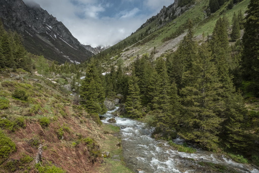 arnigebiet natur
