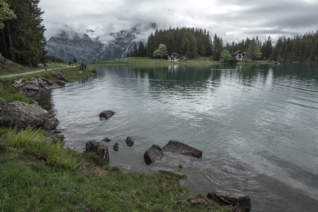 arnisee