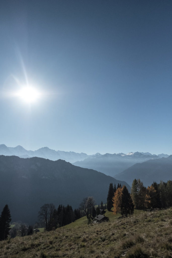 Aussicht auf die Berner Alpen