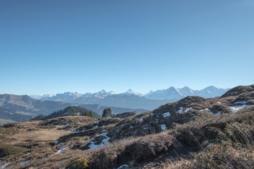 Aussicht auf die Berner Berge