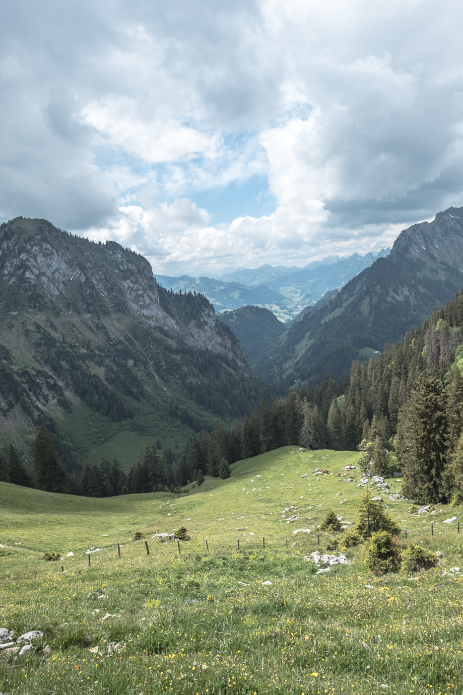aussicht hinter chuehlouenen