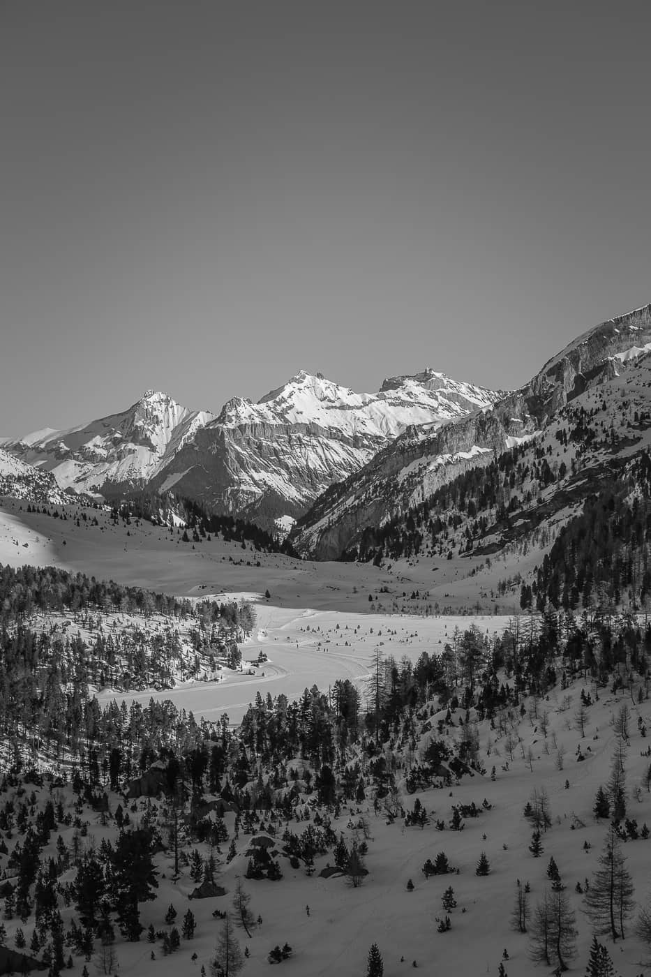 Aussicht auf Spittelmatte Sunnebüel