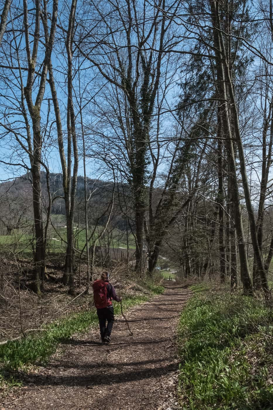 Bärlauch Wanderung im Kanton Solothurn