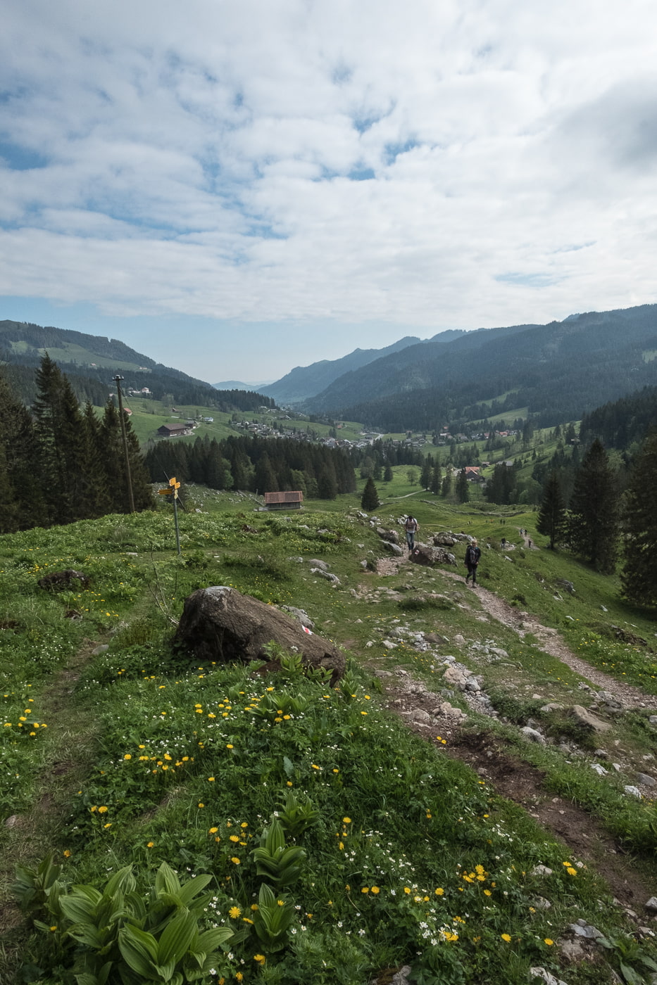 brunni-holzegg-wiesen