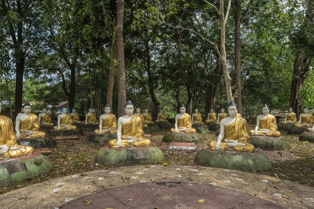 buddha-statuen