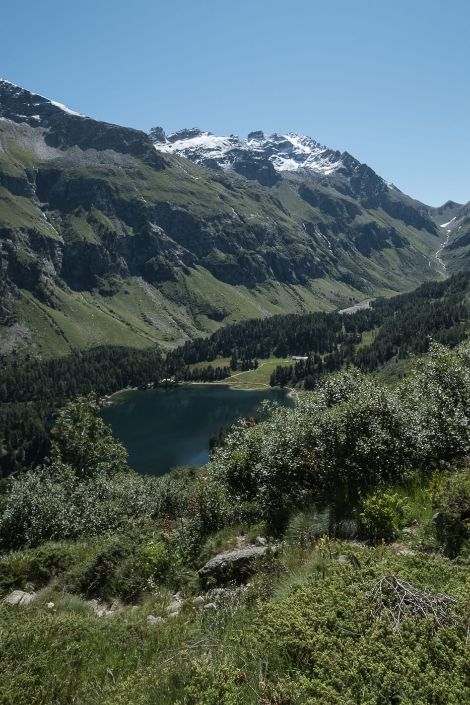 Cavlocsee im Engadin