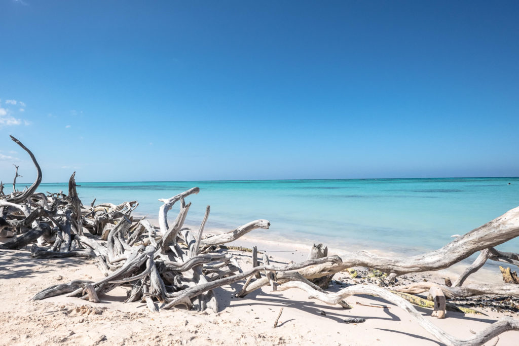 Cayo Jutias Kuba