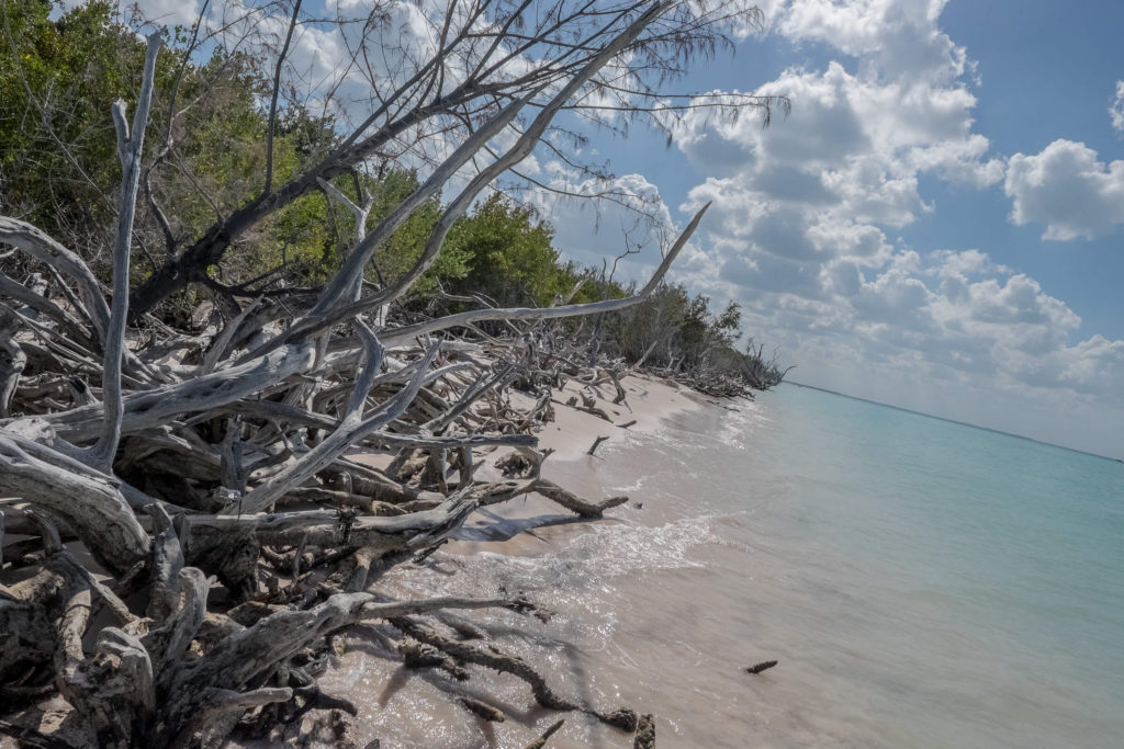 Cayo Jutias Beach