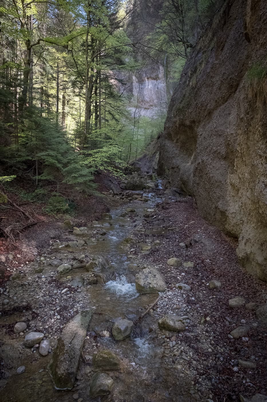 Enge Stelle in der Cholerenschlucht Thun
