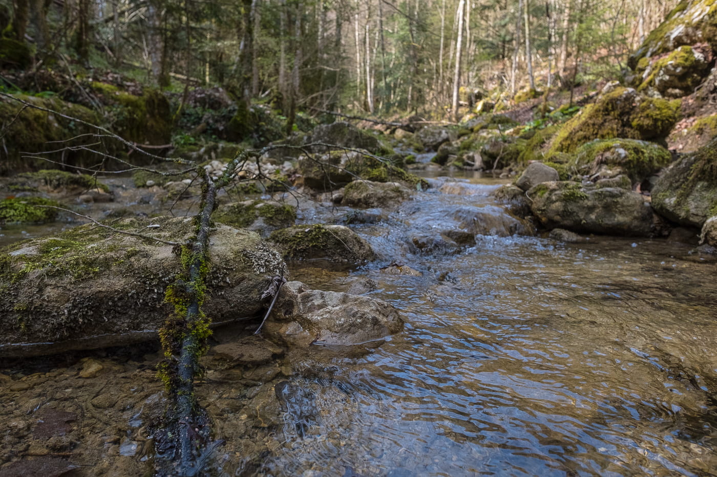 Cholersbach in der Tüfelsschlucht