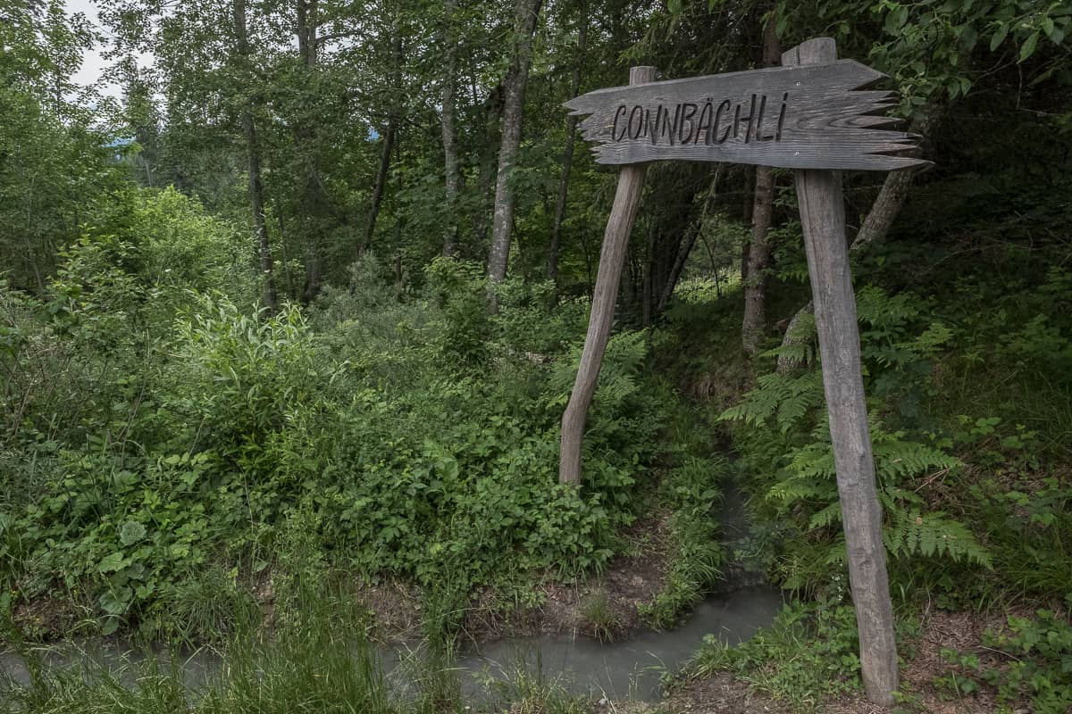 connbaechli surselva