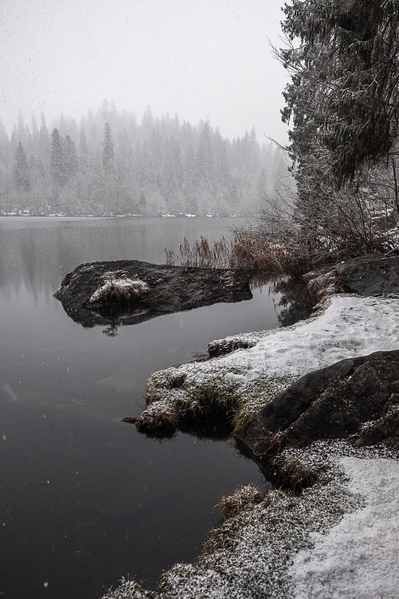 crestasee-winter