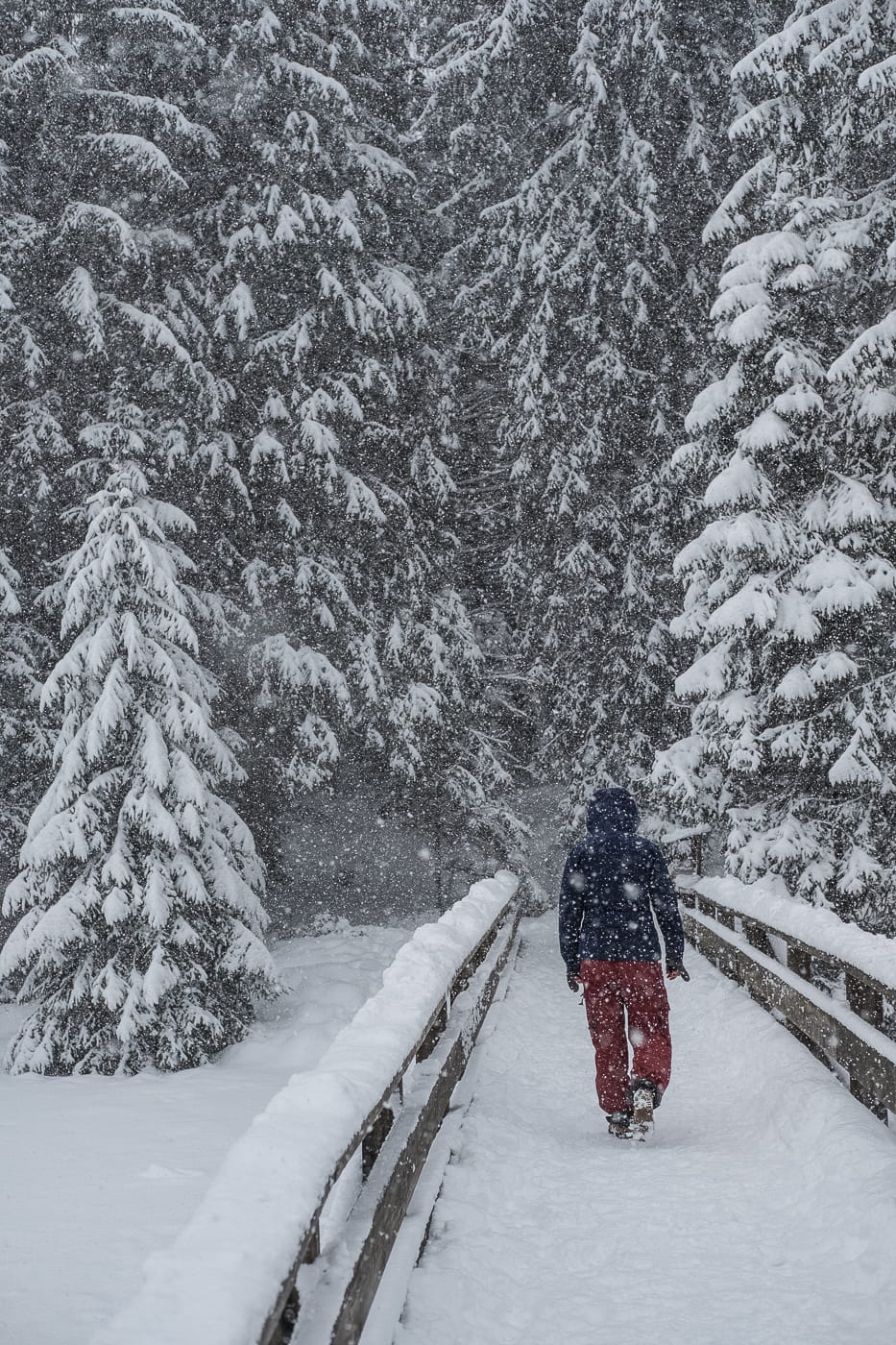 Dichter Schneefall im Jura