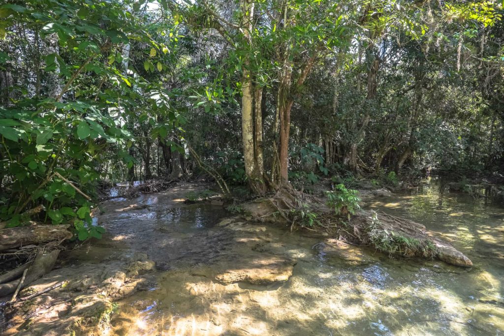 Wasser in El Nicho