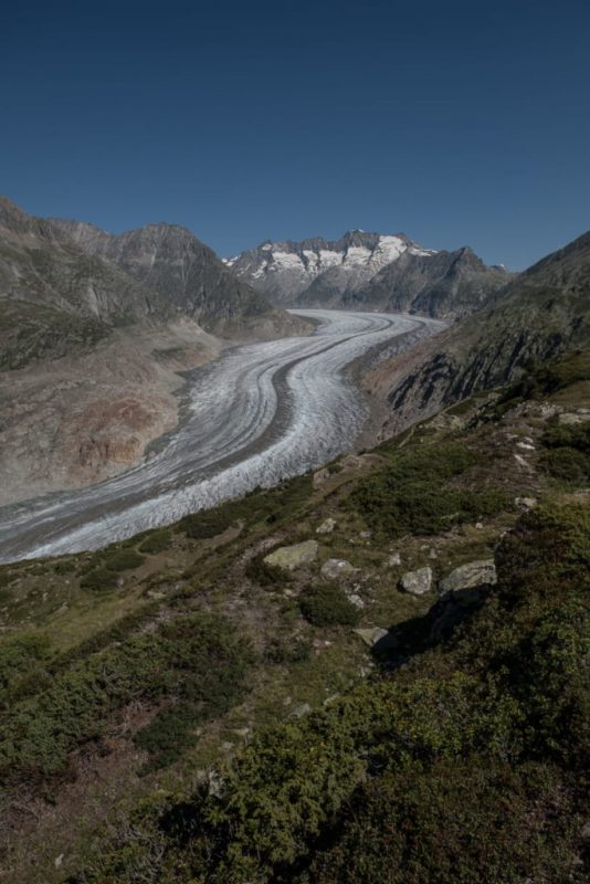 Aussichtspunkt am Moosfluh Aletscharena