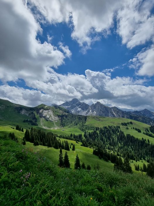 Bergsicht im Diemtigtal