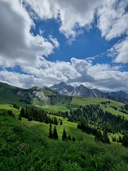 Bergsicht im Diemtigtal