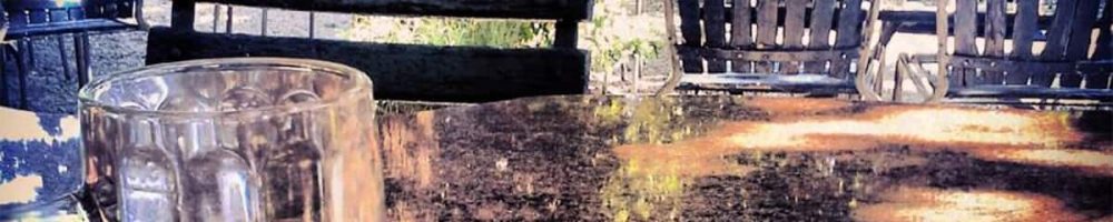 Bern Zehndermätteli im Garten