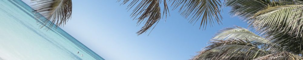 Cayo Jutias in Kuba