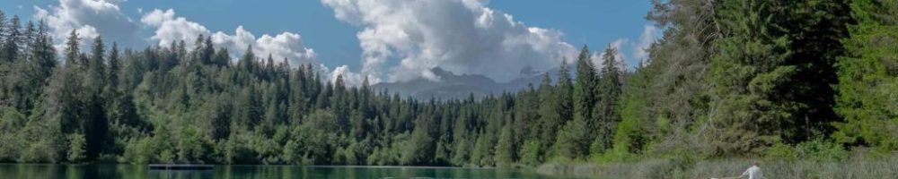 cresta_xml-9290-2