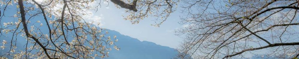 Frühling am Lac de Leman