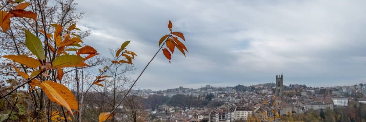 Fribourg Herbstwanderung
