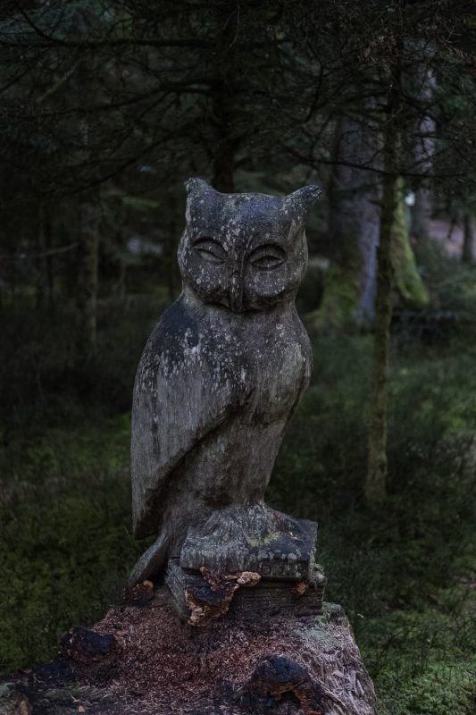 Holz Eule im Wald zum Chuderhüsi