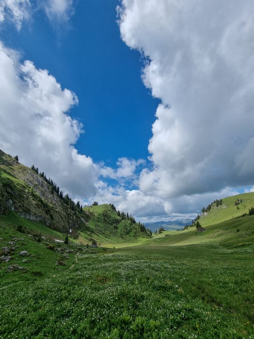 Saftige Wiesen im Diemtigtal