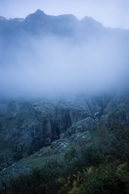 schattige-trift-nebelmeer