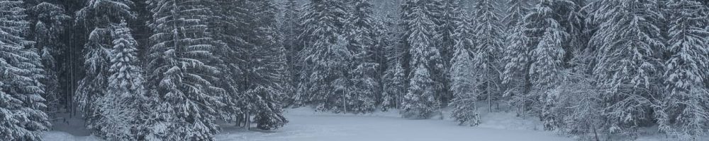 Schneewanderung am Etang de la Gruere