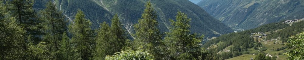 Sommer im Lötschental