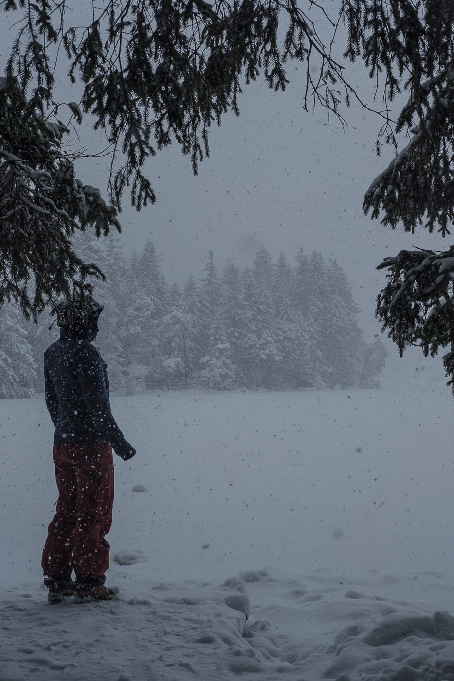 Am Ufer des Etang de la Gruere im Schnee