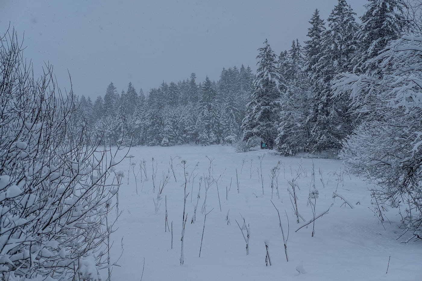 Etang de la Gruere im Winter