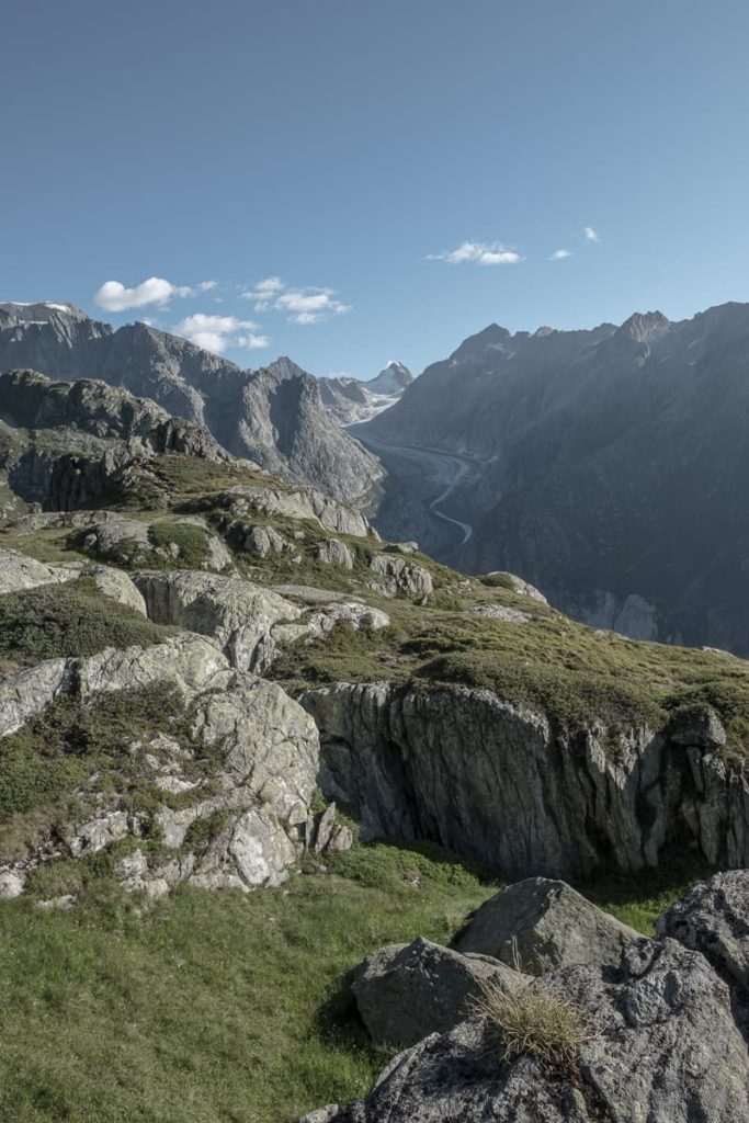 Aussicht auf den Fieschergletscher