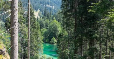 Im sommerlichen Flimserwald: Caumasee & Crestasee Im sommerlichen Flimserwald: Caumasee & Crestasee