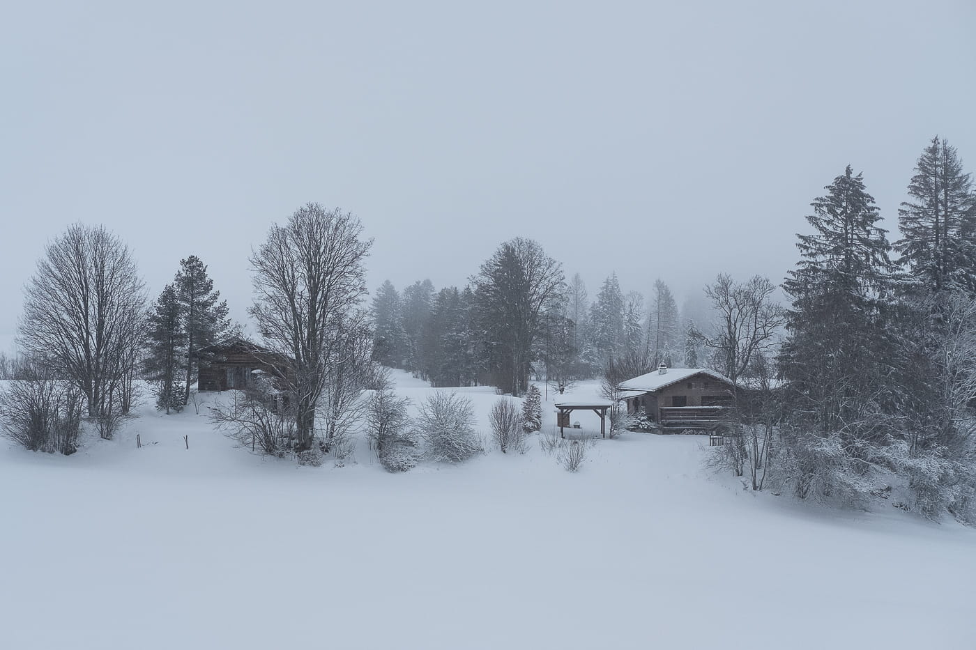 Freiberge Jura im Winter