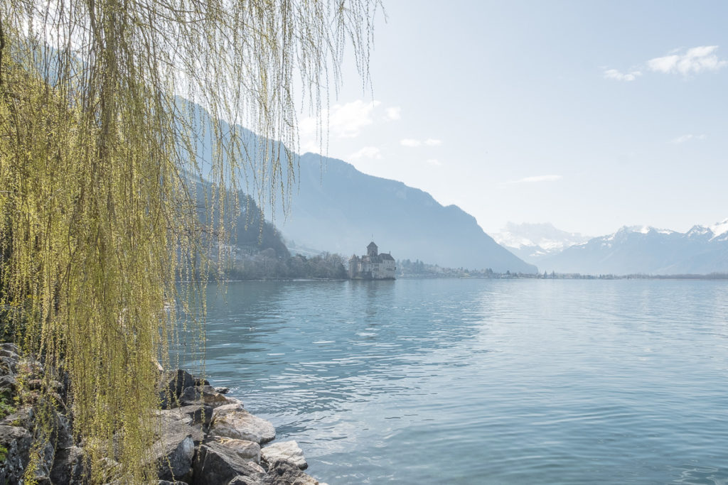 Frühling Schloss Chillon Genfersee