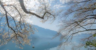 Frühlingsspaziergang: Von Montreux zum Schloss Chillon Frühlingsspaziergang: Von Montreux zum Schloss Chillon