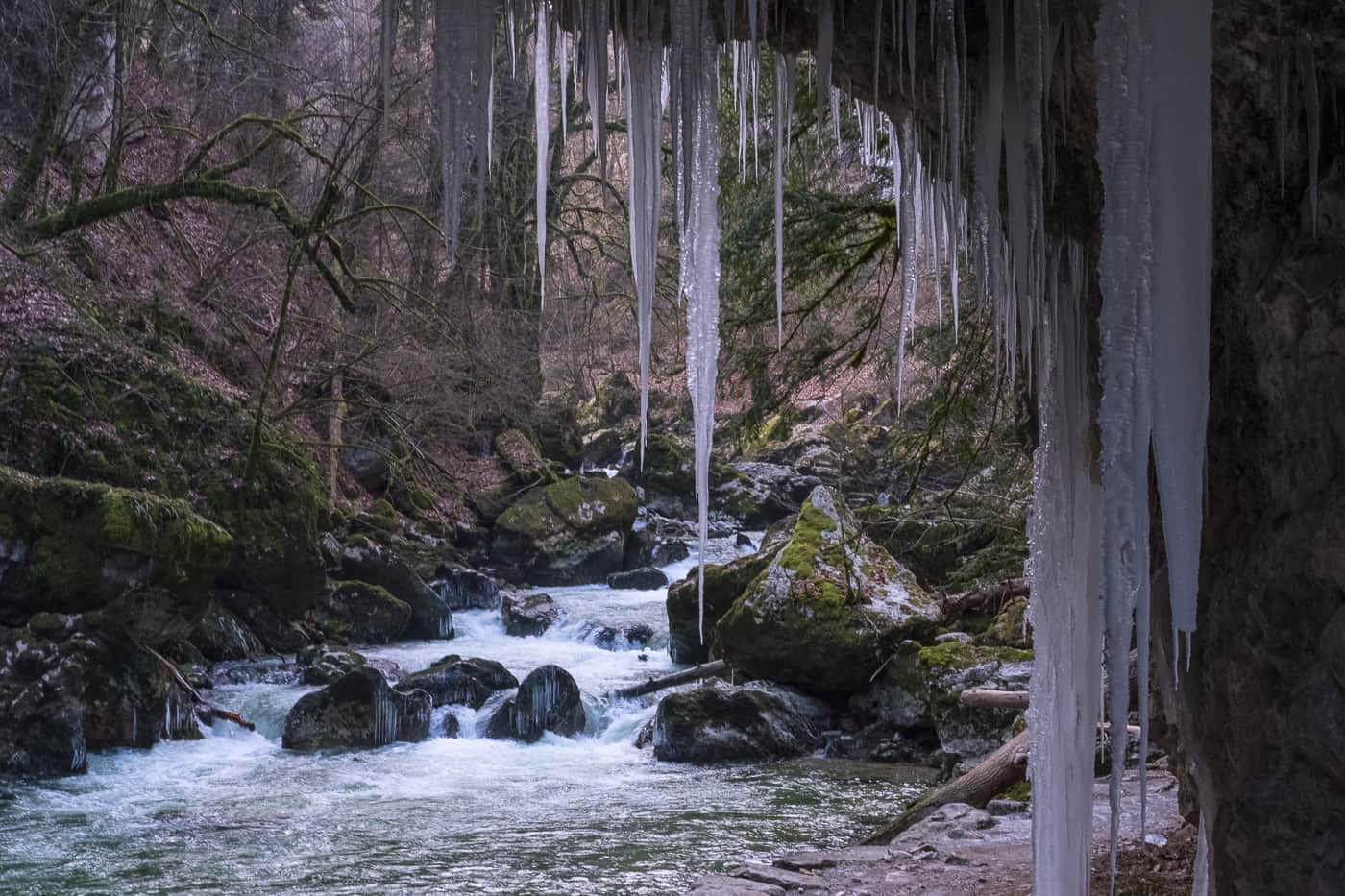 Gorges Areuse en hiver