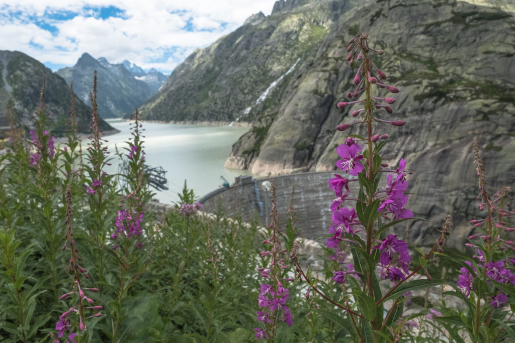 Grimsel Hospiz